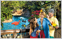 Discovery Cove at SeaWorld Attractions